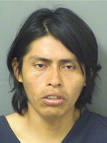  FERNANDEO CARDONAHERNANDEZ Results from Palm Beach County Florida for  FERNANDEO CARDONAHERNANDEZ