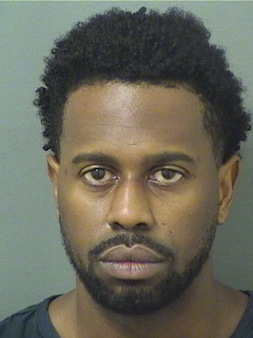  DAVID ANTHONY JOHNSON Results from Palm Beach County Florida for  DAVID ANTHONY JOHNSON