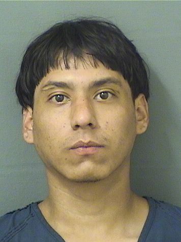  BENANSIO HERNANDEZ Results from Palm Beach County Florida for  BENANSIO HERNANDEZ
