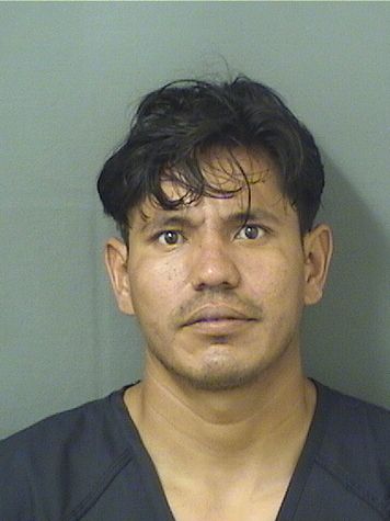 OSCAR HERNANDEZALVARENGA Results from Palm Beach County Florida for  OSCAR HERNANDEZALVARENGA