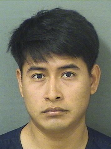  LUIS MAZARIEGOSRAMIREZ Results from Palm Beach County Florida for  LUIS MAZARIEGOSRAMIREZ