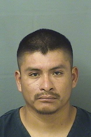  VICTOR R DOMINGOLOPEZ Results from Palm Beach County Florida for  VICTOR R DOMINGOLOPEZ