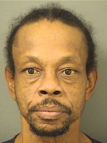  CHRISTIAN W BROWN Results from Palm Beach County Florida for  CHRISTIAN W BROWN