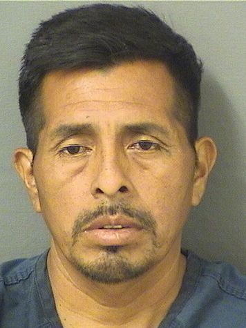 MANUEL PEREZVELASQUEZ Results from Palm Beach County Florida for MANUEL PEREZVELASQUEZ MANUEL PEREZVELASQUEZ Results from Palm Beach County Florida for MANUEL PEREZVELASQUEZ