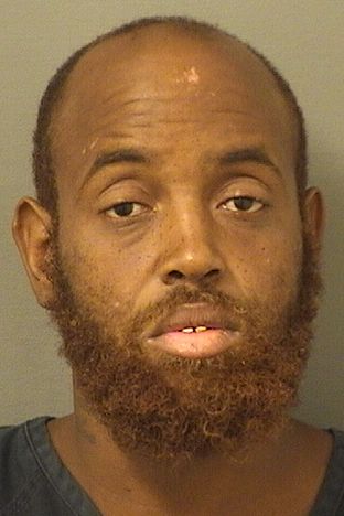  ANDRE R PHELPS Results from Palm Beach County Florida for  ANDRE R PHELPS