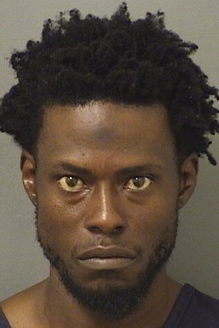  LARRY W Jr YORKER Results from Palm Beach County Florida for  LARRY W Jr YORKER