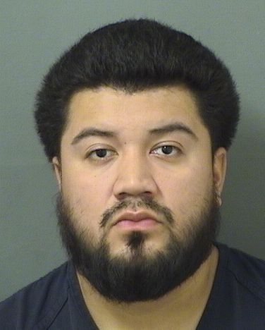  PRISILIANO DELOYAAPAEZ Results from Palm Beach County Florida for  PRISILIANO DELOYAAPAEZ