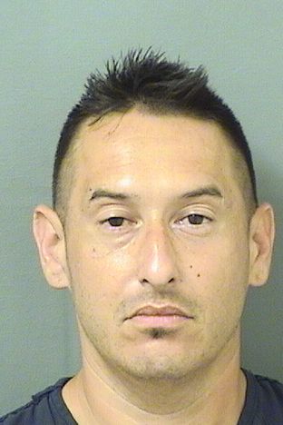  HAROLD E LEHTO Results from Palm Beach County Florida for  HAROLD E LEHTO