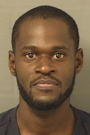  MICHAEL DELVA Results from Palm Beach County Florida for  MICHAEL DELVA