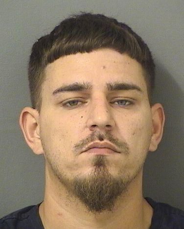  HECTOR L SCHOREA Results from Palm Beach County Florida for  HECTOR L SCHOREA