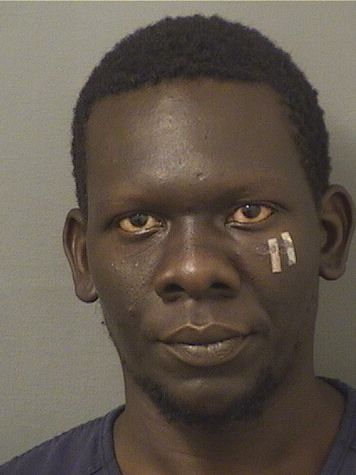  GAVIN RUDOLPH BAILEY Resultados de la busqueda para Palm Beach County Florida para  GAVIN RUDOLPH BAILEY