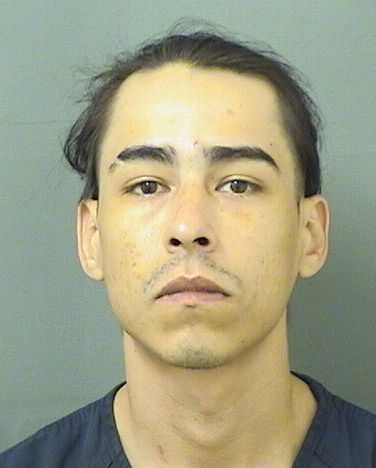  JULIAN LEZAMA Results from Palm Beach County Florida for  JULIAN LEZAMA