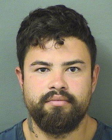  CARLOS HERNANDO PIMIENTALIZARAZO Results from Palm Beach County Florida for  CARLOS HERNANDO PIMIENTALIZARAZO