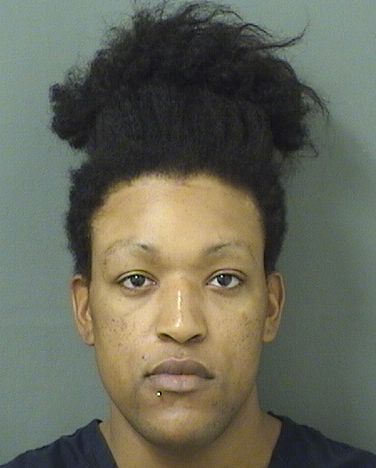  DOMINICK RAYNAL JOHNSON Results from Palm Beach County Florida for  DOMINICK RAYNAL JOHNSON