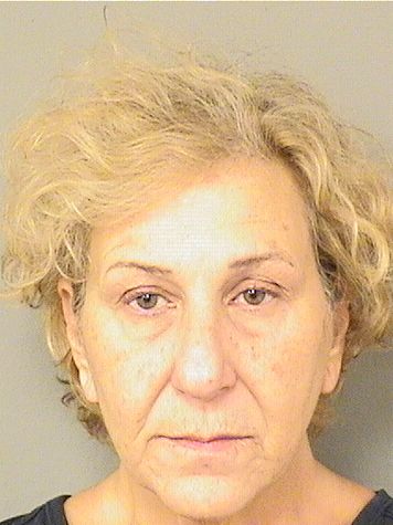  SUSAN DONATH Results from Palm Beach County Florida for  SUSAN DONATH