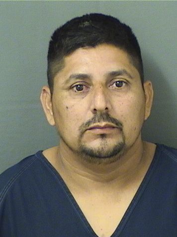  OSMAR ALVAREZMALDONADO Results from Palm Beach County Florida for  OSMAR ALVAREZMALDONADO