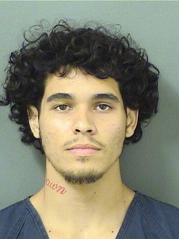  JACOB AARON STEINMETZ Resultados de la busqueda para Palm Beach County Florida para  JACOB AARON STEINMETZ