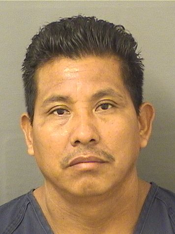  MAURILIO MENDEZDOMINGO Resultados de la busqueda para Palm Beach County Florida para  MAURILIO MENDEZDOMINGO