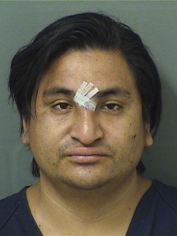  WILDER DAVID VASQUEZLOPEZ Resultados de la busqueda para Palm Beach County Florida para  WILDER DAVID VASQUEZLOPEZ