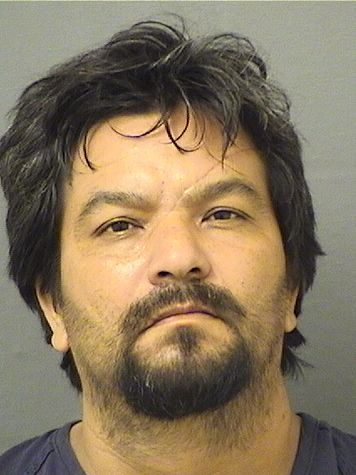  JOSE ALBERTO PINEDAAVALOS Results from Palm Beach County Florida for  JOSE ALBERTO PINEDAAVALOS