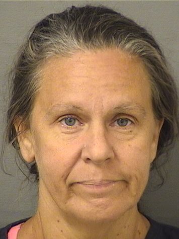  ZSOFIA RUHA Results from Palm Beach County Florida for  ZSOFIA RUHA