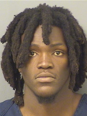  LOVENSON FRANCOIS Results from Palm Beach County Florida for  LOVENSON FRANCOIS