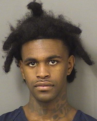  TERRANCE TERRELL THICKLIN Results from Palm Beach County Florida for  TERRANCE TERRELL THICKLIN