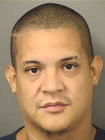  ANDREW KEITH RODRIGUEZ Results from Palm Beach County Florida for  ANDREW KEITH RODRIGUEZ
