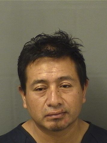  MIGUEL MARROQUIN Results from Palm Beach County Florida for  MIGUEL MARROQUIN