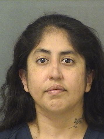  MARY BETH WAGNER Results from Palm Beach County Florida for  MARY BETH WAGNER