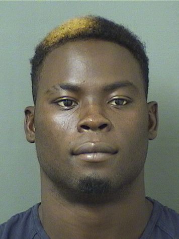  SCHNEIDER ST FLEUR Results from Palm Beach County Florida for  SCHNEIDER ST FLEUR