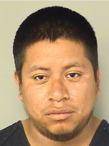  REMIGIO RAMIREZJUAN Resultados de la busqueda para Palm Beach County Florida para  REMIGIO RAMIREZJUAN