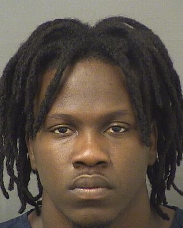  ALEXX TAFARI JOHNSON Results from Palm Beach County Florida for  ALEXX TAFARI JOHNSON