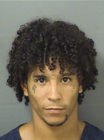  JUAN ANDRES CALLE Results from Palm Beach County Florida for  JUAN ANDRES CALLE