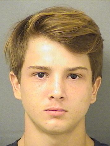  VAUGHN ROBERT FOBER Resultados de la busqueda para Palm Beach County Florida para  VAUGHN ROBERT FOBER