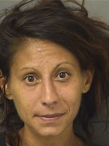  ALINA KATHERINEMS DEMARCHI Resultados de la busqueda para Palm Beach County Florida para  ALINA KATHERINEMS DEMARCHI