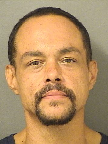  GIOVANNI T GONZALEZ Results from Palm Beach County Florida for  GIOVANNI T GONZALEZ