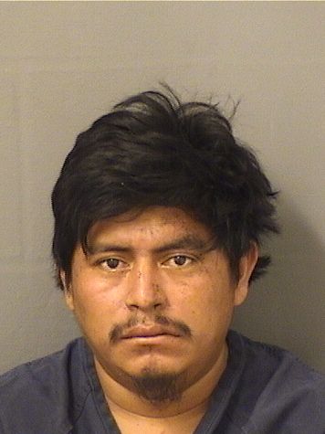  MIGUEL A LOPEZHERNANDEZ Results from Palm Beach County Florida for  MIGUEL A LOPEZHERNANDEZ