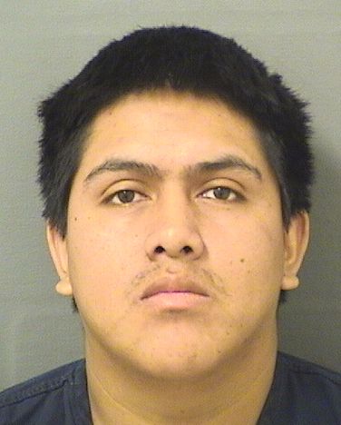  ELMER AMILCAR CHAJ Photo