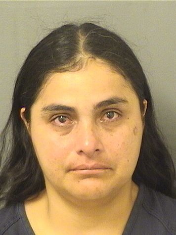  MILAGROS CHAVEZPRADO Results from Palm Beach County Florida for  MILAGROS CHAVEZPRADO