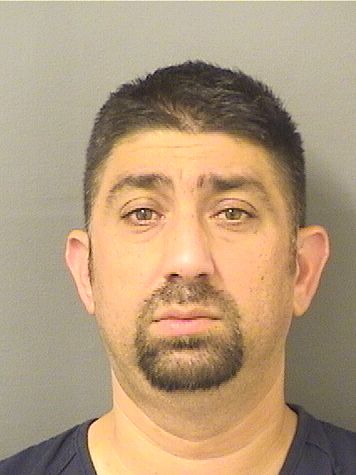  STEFAN DINU Results from Palm Beach County Florida for  STEFAN DINU