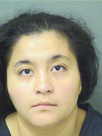  ROSMERY LOPEZALFARO Results from Palm Beach County Florida for  ROSMERY LOPEZALFARO