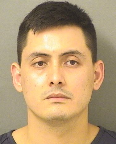  CARLOS JAVIER BRICENOGONZALEZ Results from Palm Beach County Florida for  CARLOS JAVIER BRICENOGONZALEZ