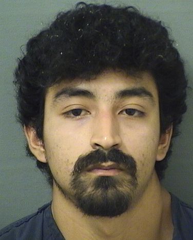  JESUS HUMBERTO PINEDACARMOUA Results from Palm Beach County Florida for  JESUS HUMBERTO PINEDACARMOUA