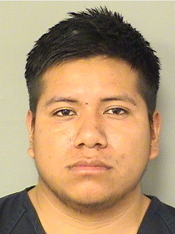  TOMAZ RAMIREZJUAN Results from Palm Beach County Florida for  TOMAZ RAMIREZJUAN