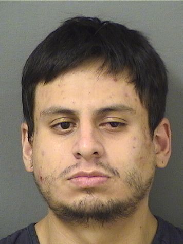  NICOLAY ALEJANDRO REVELOMAFLA Results from Palm Beach County Florida for  NICOLAY ALEJANDRO REVELOMAFLA