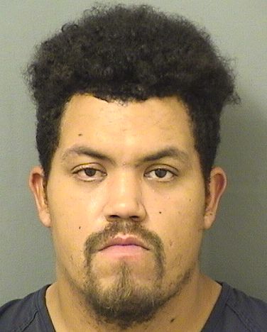  HECTOR SAMUEL Jr PEREZ Results from Palm Beach County Florida for  HECTOR SAMUEL Jr PEREZ