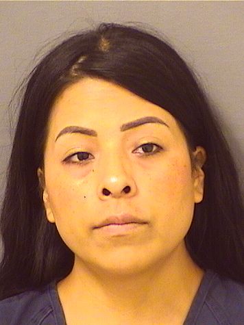  ROSA IDALIA CHAVEZRAMIREZ Results from Palm Beach County Florida for  ROSA IDALIA CHAVEZRAMIREZ