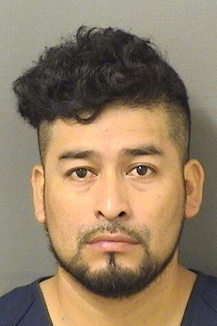  ROSENDO MENDOZAROMULO Results from Palm Beach County Florida for  ROSENDO MENDOZAROMULO