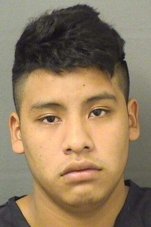  MINOR DIEGOVICENTE Results from Palm Beach County Florida for  MINOR DIEGOVICENTE